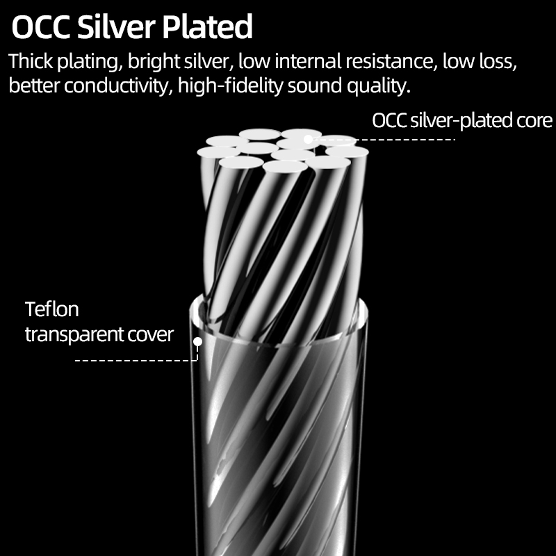 Cavo di alimentazione ERUMPENT - Carbon Filter Inline recensione e prezzo